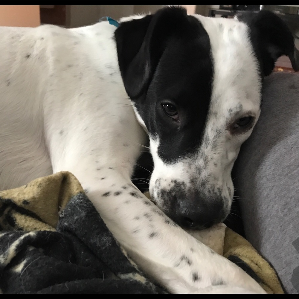Meet your Posher, Lexie